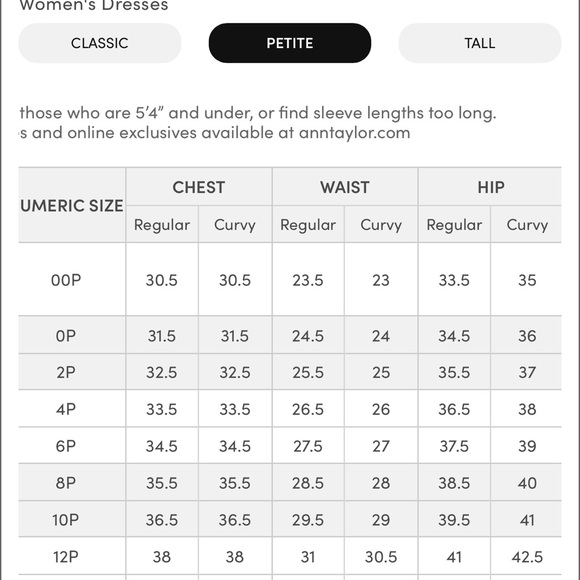 Ann Taylor Flap Pocket Shift Dress - Picture 9 of 9